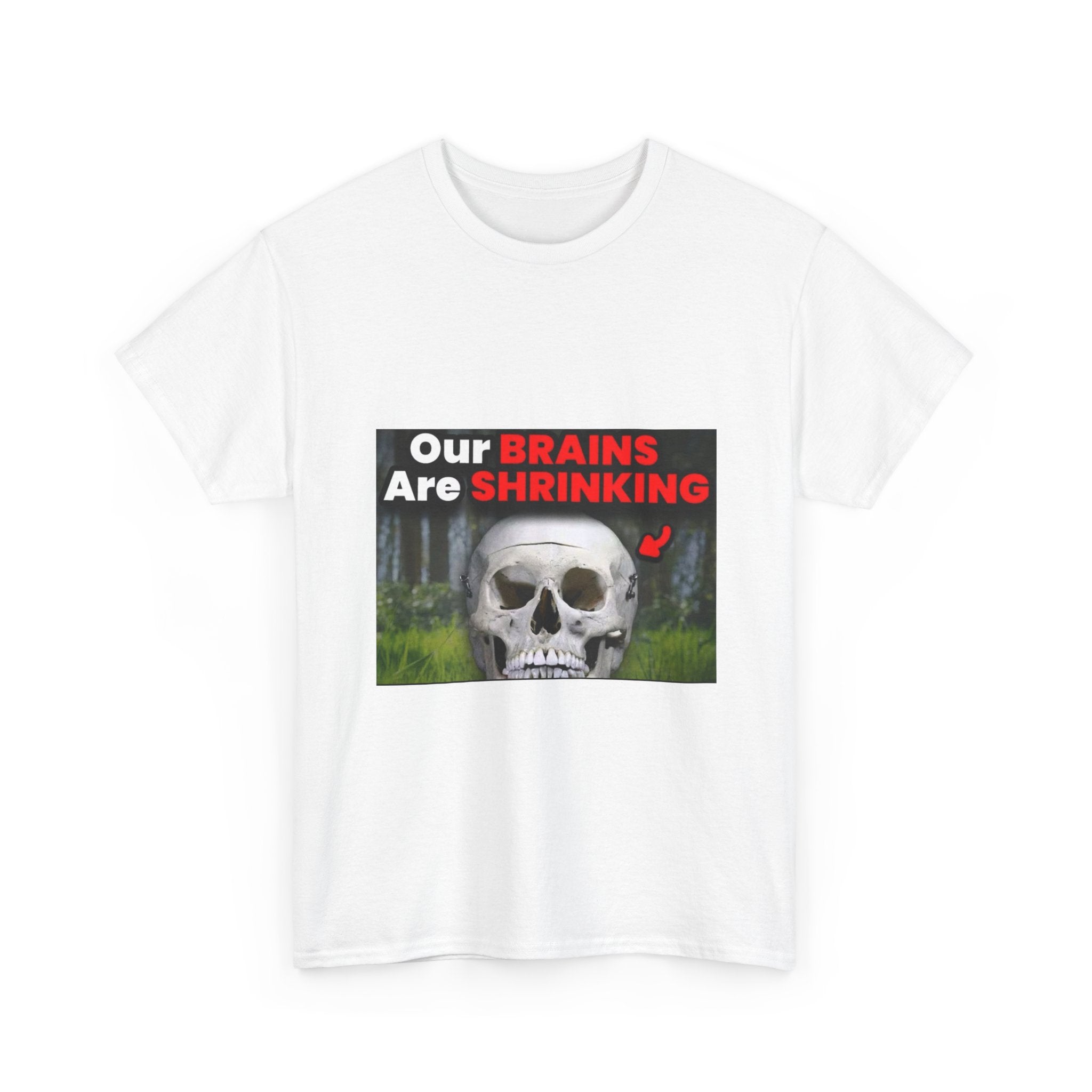 OUR BRAINS ARE SHRINKING